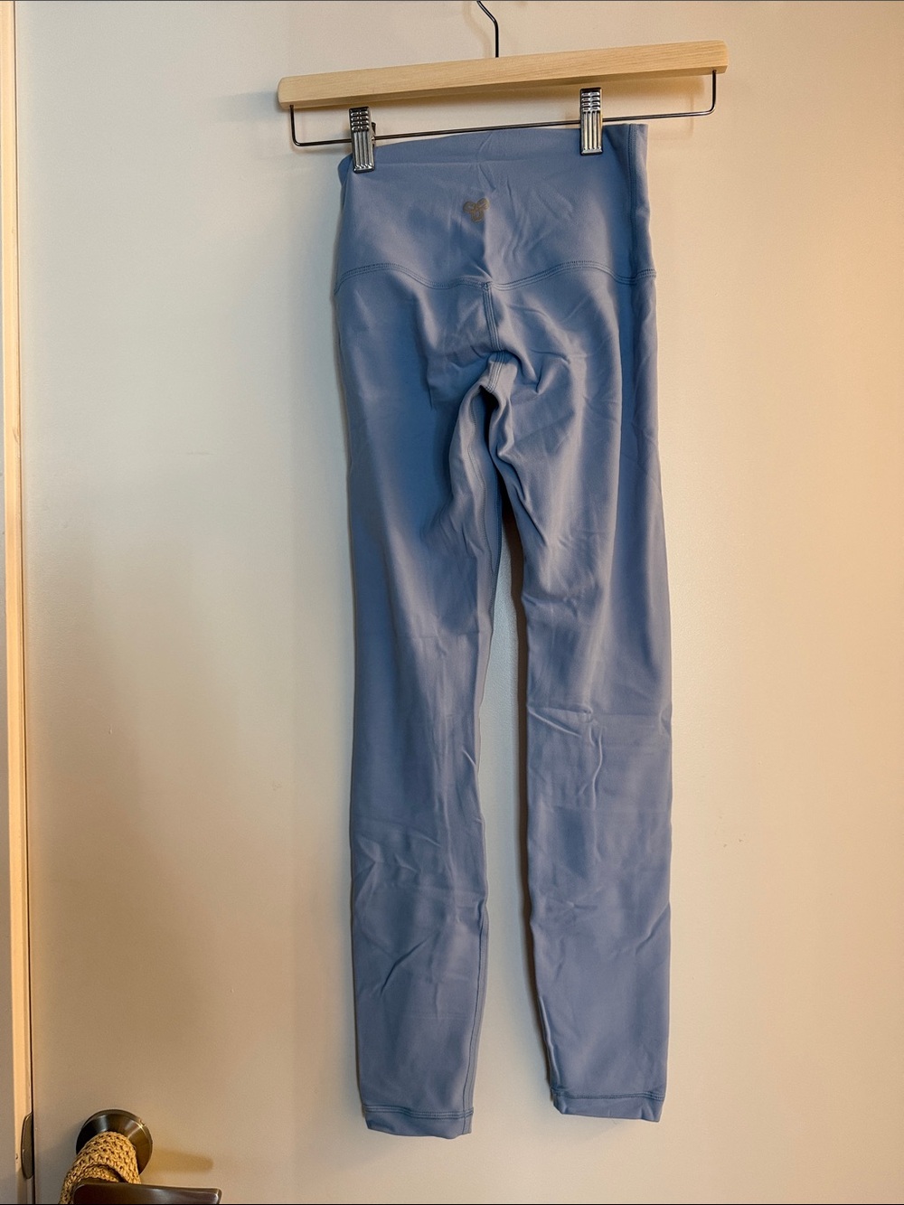 Aritzia TNA Light Blue Active Leggings